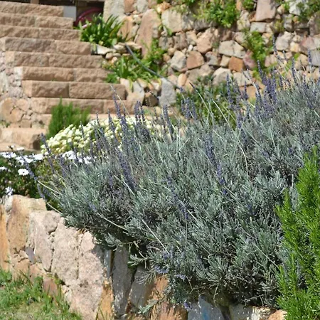 Flh Mira Guincho House With Sea View And Garden Дом отдыха *