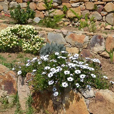 Дом отдыха Flh Mira Guincho House With Sea View And Garden