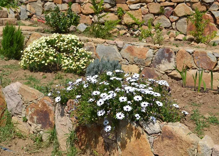 Feriehus Flh Mira Guincho House With Sea View And Garden